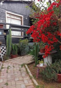 un giardino con fiori rossi e piante di fronte a una casa di On Planet a Coquimbo
