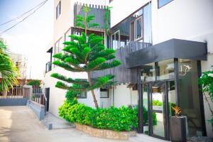 a palm tree in front of a building at Sylz Residence Studio in Accra +5 photos