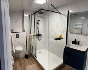 een badkamer met douche, wastafel en toilet bij Le loudunais in Loudun