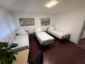 a room with two beds and a plant in it at Ferienwohnung-Montagewohnung 4 in Paderborn