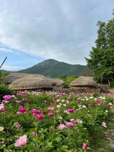 a field of flowers with huts and mountains in the background at Naganeupseong Jandi House in Suncheon