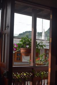een uitzicht vanuit het raam op een balkon met een bloempot bij Vivienda turística Doña Barbara in Jardin
