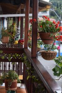 een balkon met potplanten op een reling bij Vivienda turística Doña Barbara in Jardin