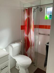 a bathroom with a toilet and a shower at Jetty Rd Granny Flat in Normanville