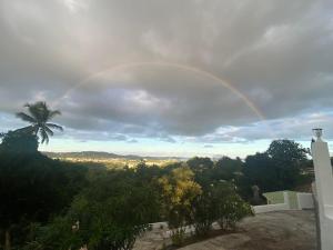 a rainbow in the sky with a palm tree at L'ilot secret in Le Robert