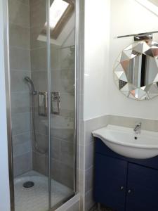 a bathroom with a shower and a sink and a mirror at Cosy Aix in Aix-les-Bains +25 photos