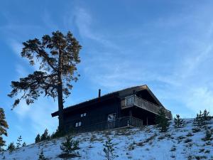 Phong cảnh thiên nhiên gần căn hộ