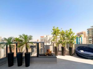 une rangée de plantes en pot sur un toit dans l'établissement Mercure Sao Paulo Pamplona, à São Paulo
