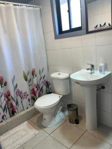 een badkamer met toilet en wastafel bij Cabañas Valentina in Valdivia +6 foto's