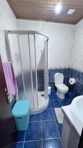 een blauw betegelde badkamer met een douche en een toilet bij Leomil-House in Leomil