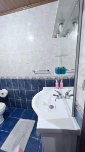 een badkamer met een wastafel, een toilet en een spiegel bij Leomil-House in Leomil