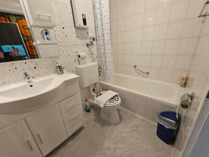 a bathroom with a sink and a toilet and a tub at King Apartment Luftkurort Bayerischen Wald in Sankt Englmar +13 photos