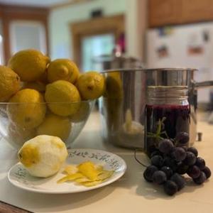 una ciotola di limoni e un piatto di frutta su un bancone di Laurel River Club Bed & Breakfast or LRCBNB a Dryfork Altre 87 foto