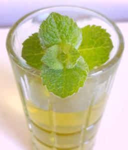 un bicchiere d'acqua con una foglia verde dentro di Laurel River Club Bed & Breakfast or LRCBNB a Dryfork