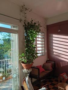 Et opholdsområde på Villa Les Violettes + 4 billeder