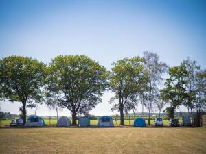 a group of tents in a field with trees at 6-Guest Escape with Private Garden & Wi-Fi in Overbroek