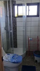 a bathroom with a shower and a toilet with a blue seat at CostaMonkul in Nahuentúe