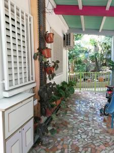 En have udenfor Villa Les Violettes