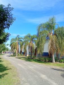 a street with palm trees on the side of a road at Cabañas LAS PALMERAS in La Paz