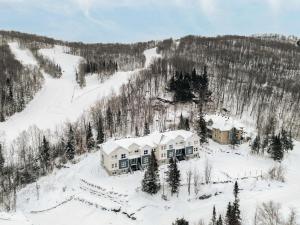 een luchtzicht op een huis in de sneeuw bij Mont Blanc 121-111 in Saint-Faustin