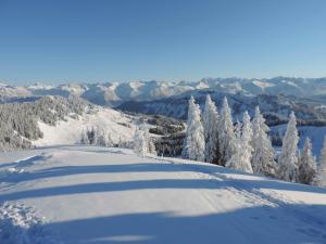 Ein Schatten einer Person auf einem schneebedeckten Berg in der Unterkunft Das Talgut in Ofterschwang