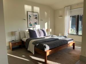 een slaapkamer met een bed met paarse kussens en een raam bij Windhover Estate in Tasman +59 foto's
