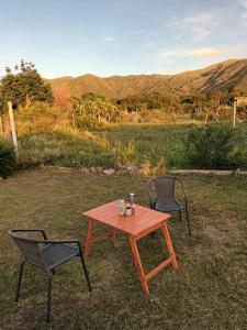 two chairs and a wooden table in the grass at Cabaña La Anita in Cosquín