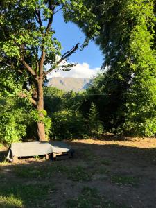 een picknicktafel in een veld met een boom bij Kuku hostel in Las Rabonas
