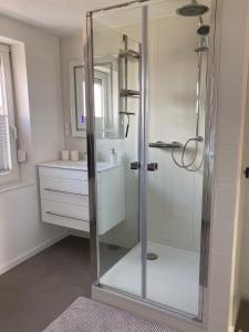 een douche met een glazen deur in een badkamer bij Gipfelglueck-bei-der-Purpurbuche in Bad Harzburg +18 foto's