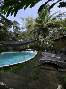 a group of lounge chairs next to a swimming pool at Baluarte Rest and Relaxation in Sampong
