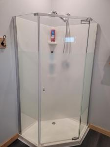 una cabina doccia in vetro con una bottiglia rossa dentro di Wells Gray Stay And Play a Clearwater Altre 2 foto