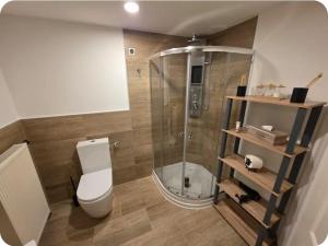 a bathroom with a shower and a toilet in it at Harmonie-Oase in Alsleben