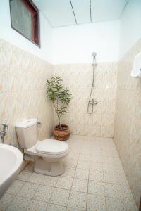 a bathroom with a toilet and a potted plant at Prime Time Hotel in Unawatuna +29 photos