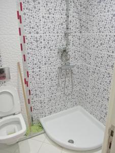 Hanshīr Qaşr Ghallāb0 stress的带淋浴、马桶和水槽的浴室