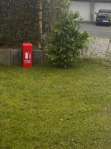Eine rote Schachtel stand im Gras neben einem Busch. in der Unterkunft Baadenbergerstay B in Köln