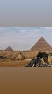 Naturlandskabet i nærheden af hotellet