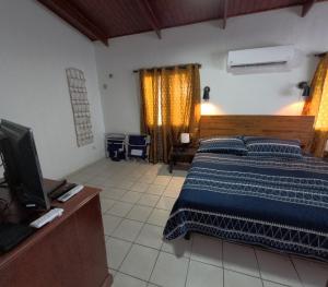 a bedroom with a bed and a television in it at Palm Beach 278 in Palm-Eagle Beach