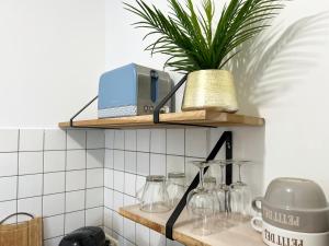 a kitchen shelf with glasses and a plant on it at Le Petit Cocon - Lumineux & Confortable in Cerizay