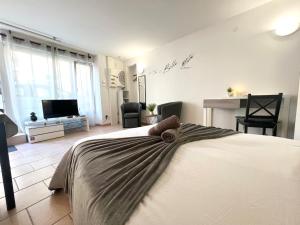 a bedroom with a bed and a tv in a room at Le Petit Cocon - Lumineux & Confortable in Cerizay
