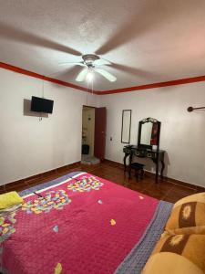 ein Wohnzimmer mit einem großen rosa Teppich auf dem Boden in der Unterkunft Hotel Cuaupatanini in Xocoyolo