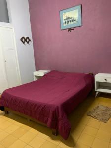 een slaapkamer met een paars bed en een paarse muur bij Departamento Zoe in La Falda
