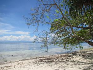 Ảnh trong thư viện ảnh của Scuba Republic Beach Bungalows ở Tapokreng