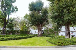 einen Park mit zwei Bäumen und einem Grasfeld in der Unterkunft Anchan Flora Luxury 2BR Pool Villa in Thalang