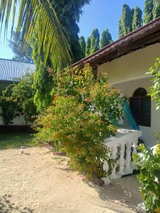 een bos met rode bloemen aan de zijkant van een huis bij KIVi Cottages Nungwi in Nungwi +10 foto's