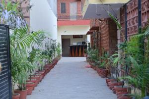 an alley with potted plants on the side of a building at The Mapple Stay in Jodhpur