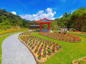 a display of flowers in a garden with a gazebo at Betong Chill House in Ban Hua Phrong