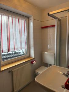 a bathroom with a sink and a toilet and a window at Casa di Lilly in Moena +9 photos