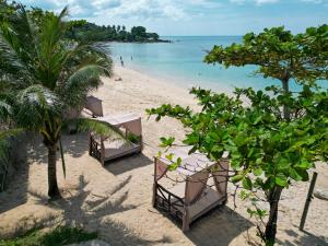 Naturlandskabet i nærheden af resortet