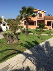 une maison avec un palmier dans la cour dans l'établissement Sardegna - Villa Mirto & Flowers, à Olbia
