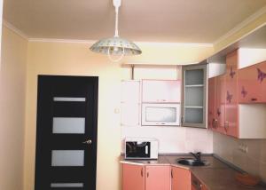 Köök või kööginurk majutusasutuses Apartment on Sportivnaya